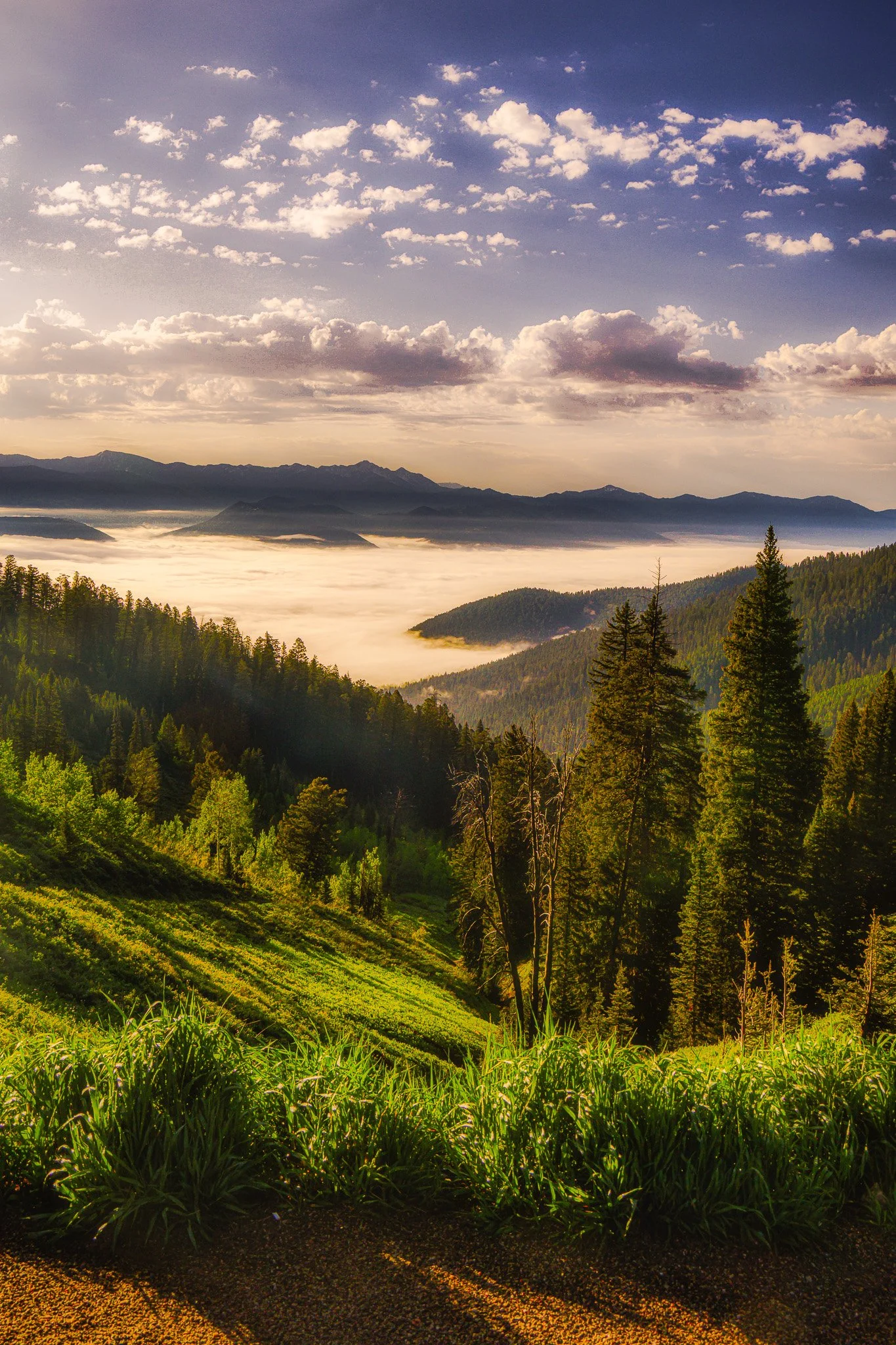 Valley of Dreams - Teton Pass Summit