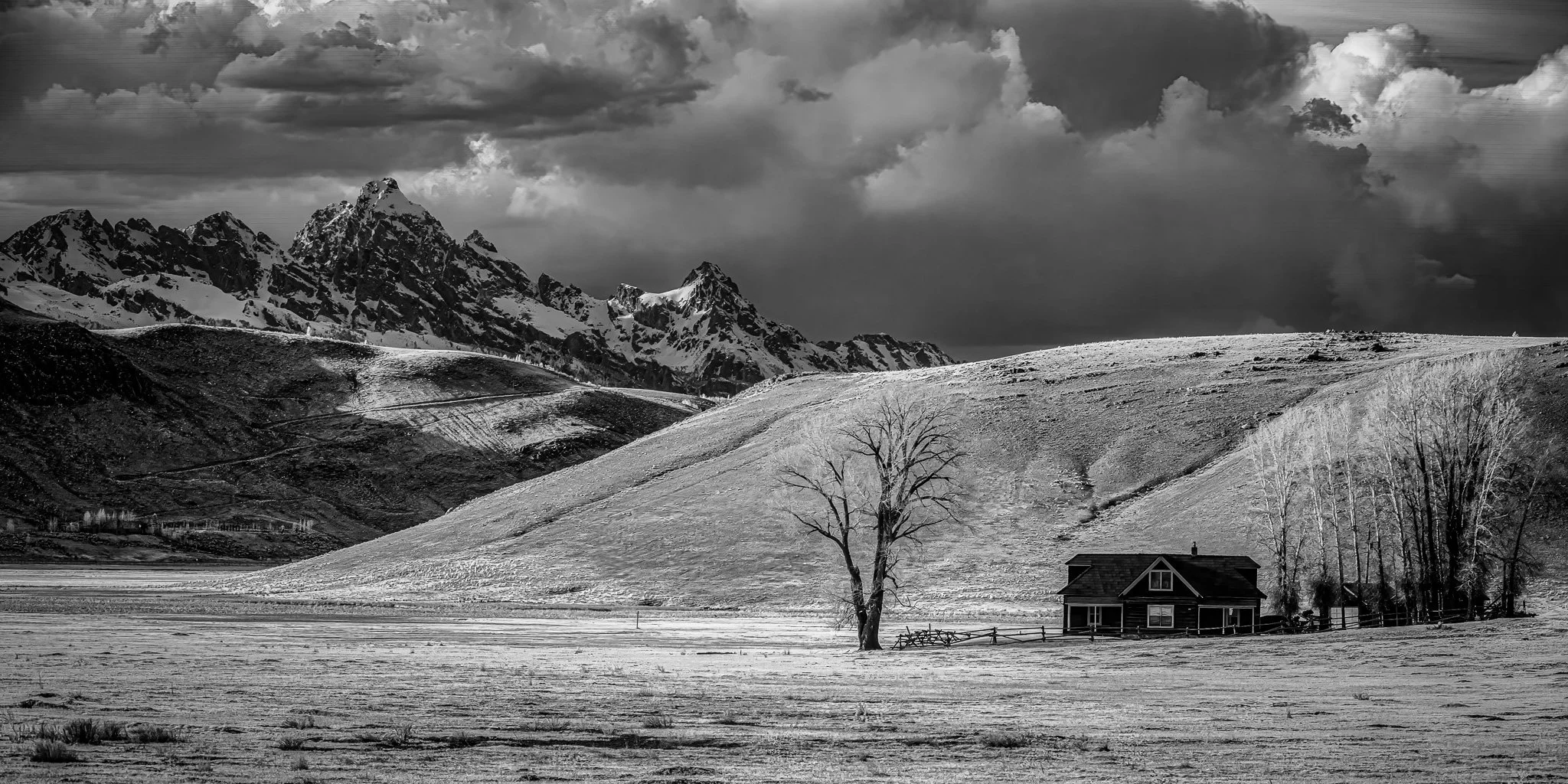 Mountain Homestead's Tale