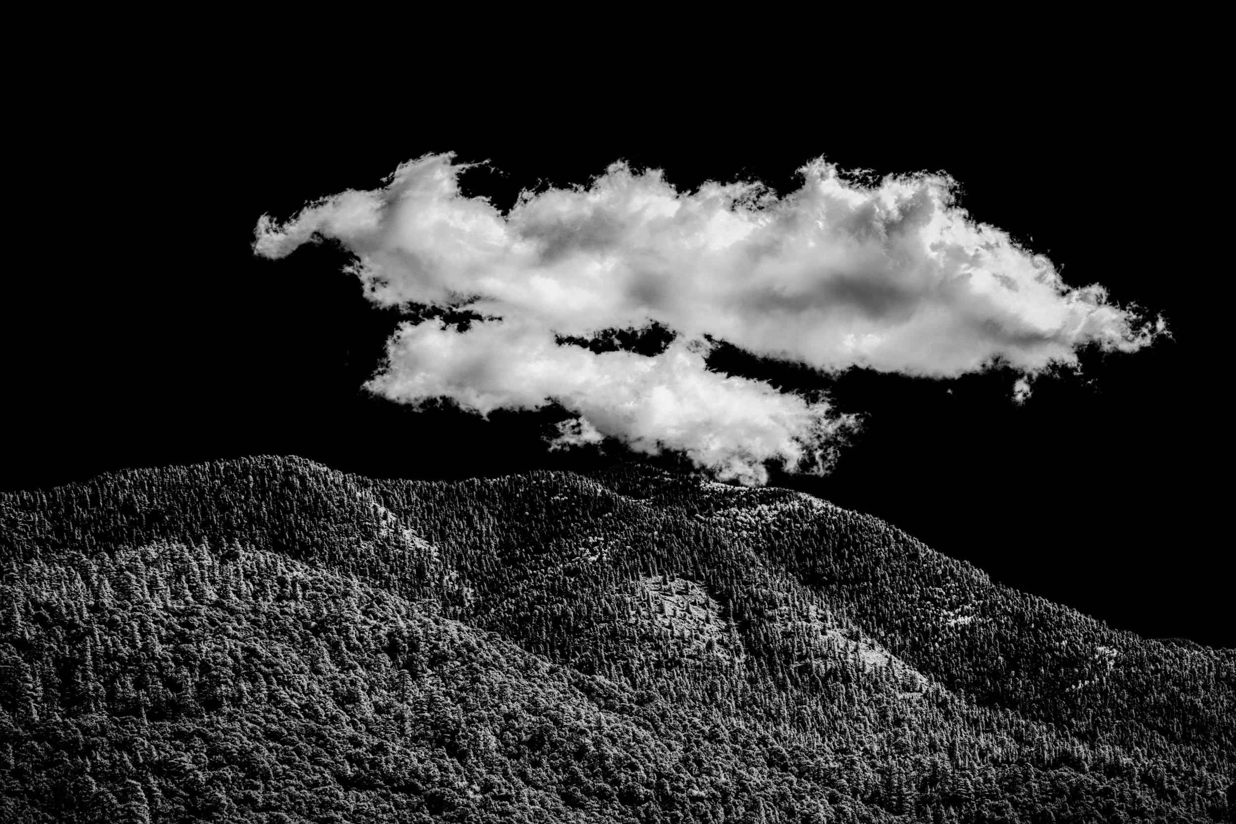 Ethereal Tension — Dark, forested mountains rise against bright, drifting clouds — rugged earth beneath, something weightless above.