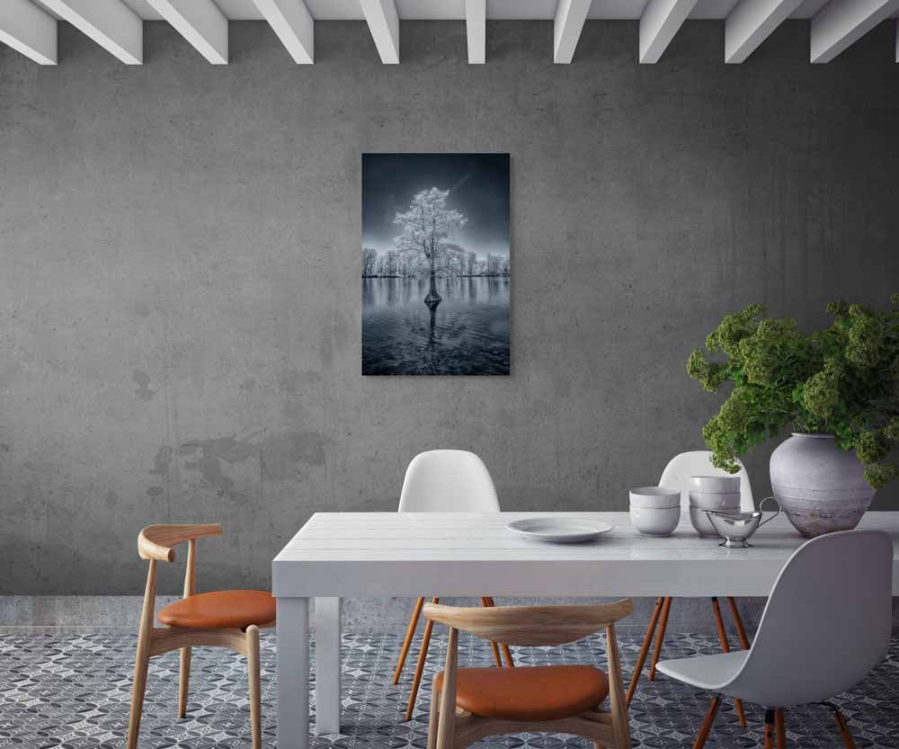 lone sentinel-full.jpg