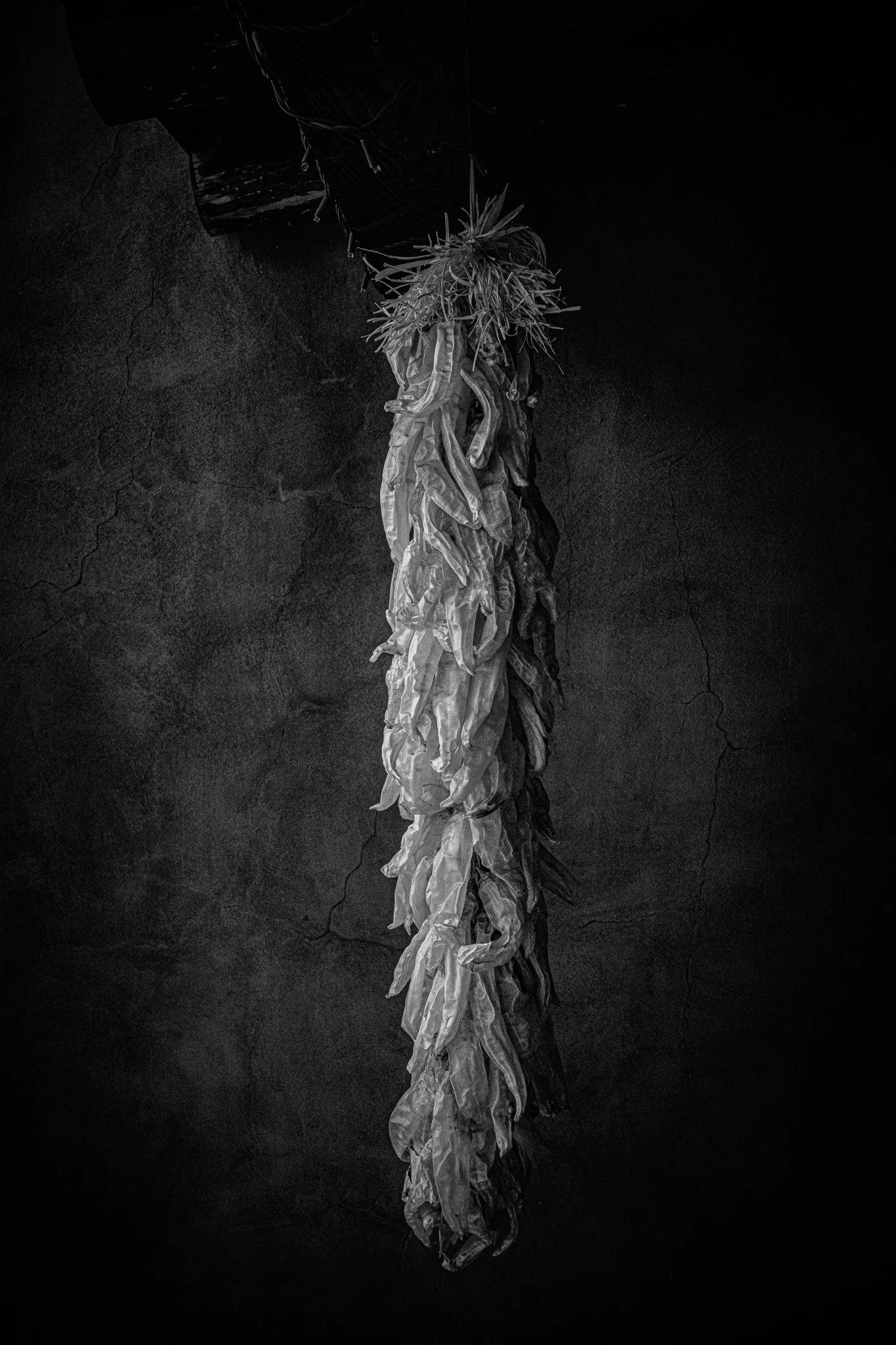 Infrared Elegy of Red Chilis