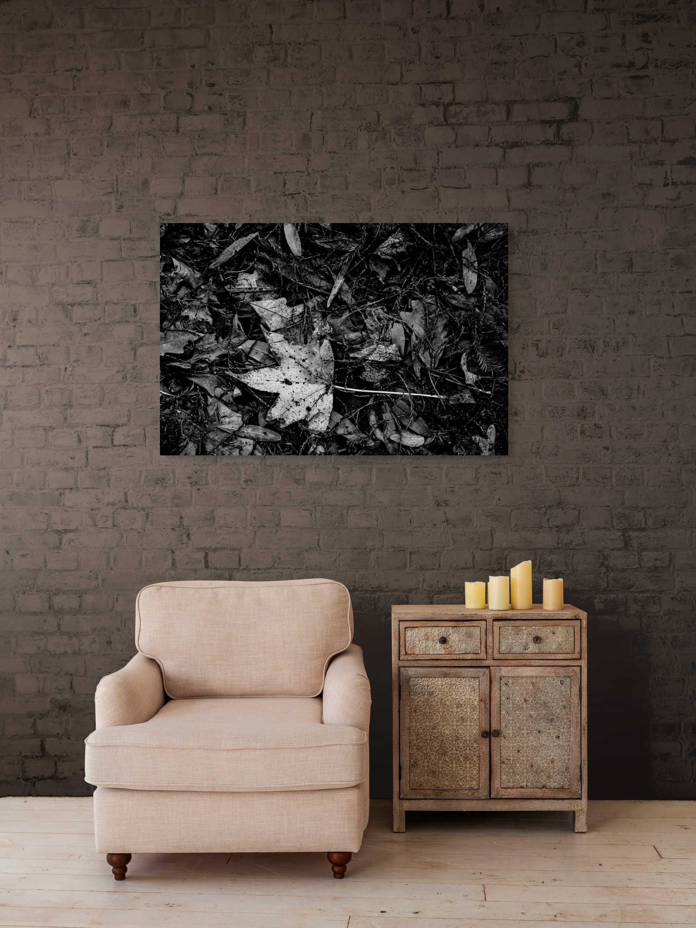 dwi_4571-full (2).jpg