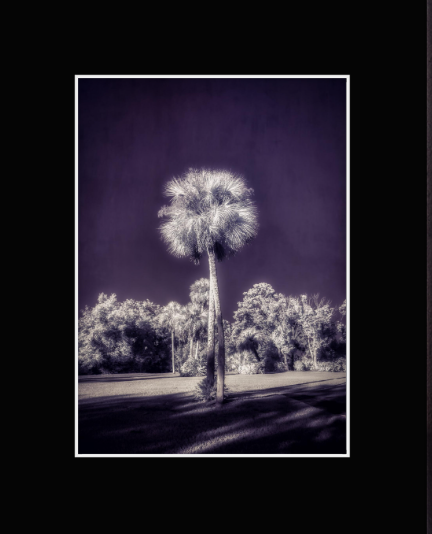 Screenshot 2026-01-27 at 9.14.58 AM.png