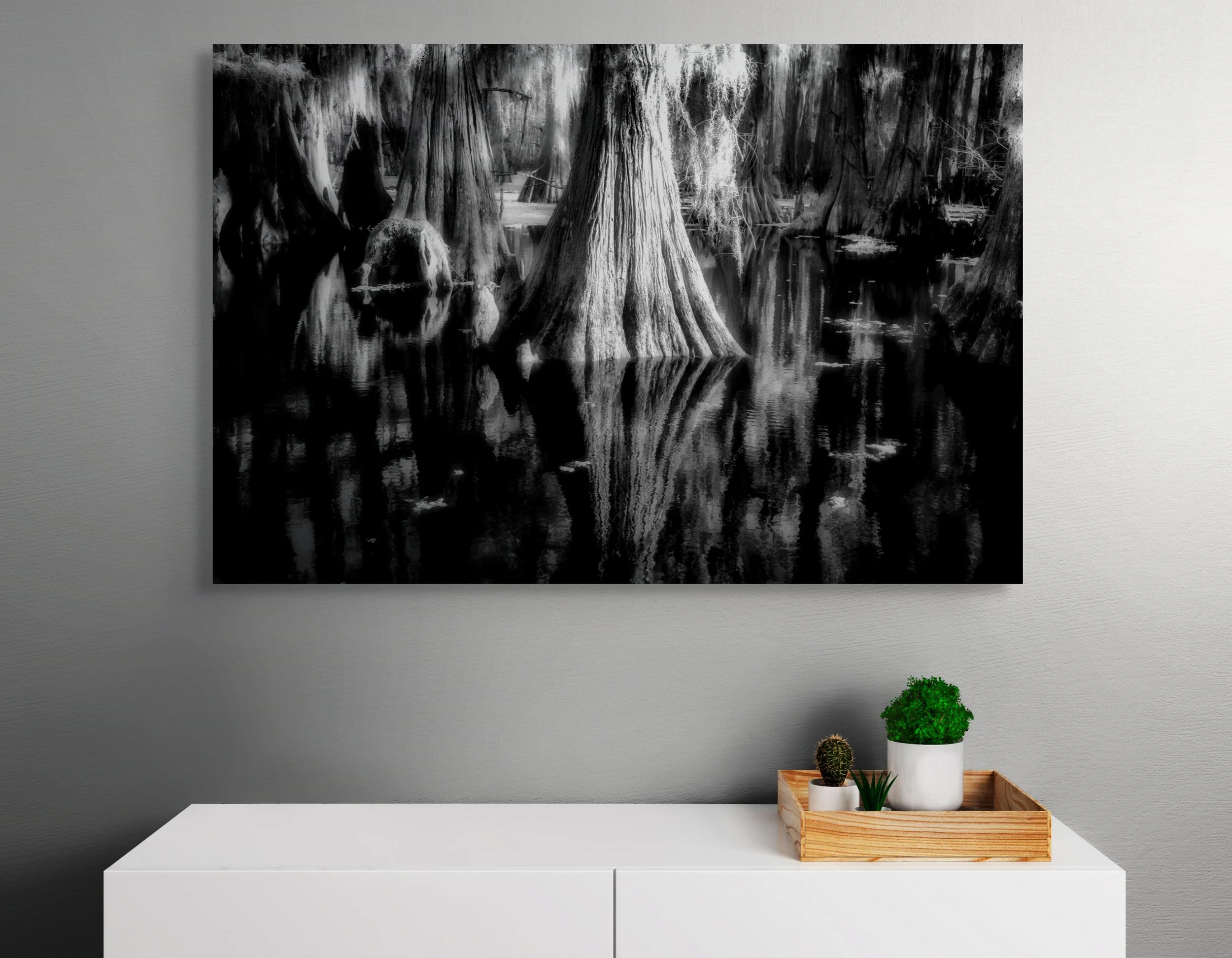 dwi_4754-full (1).jpg