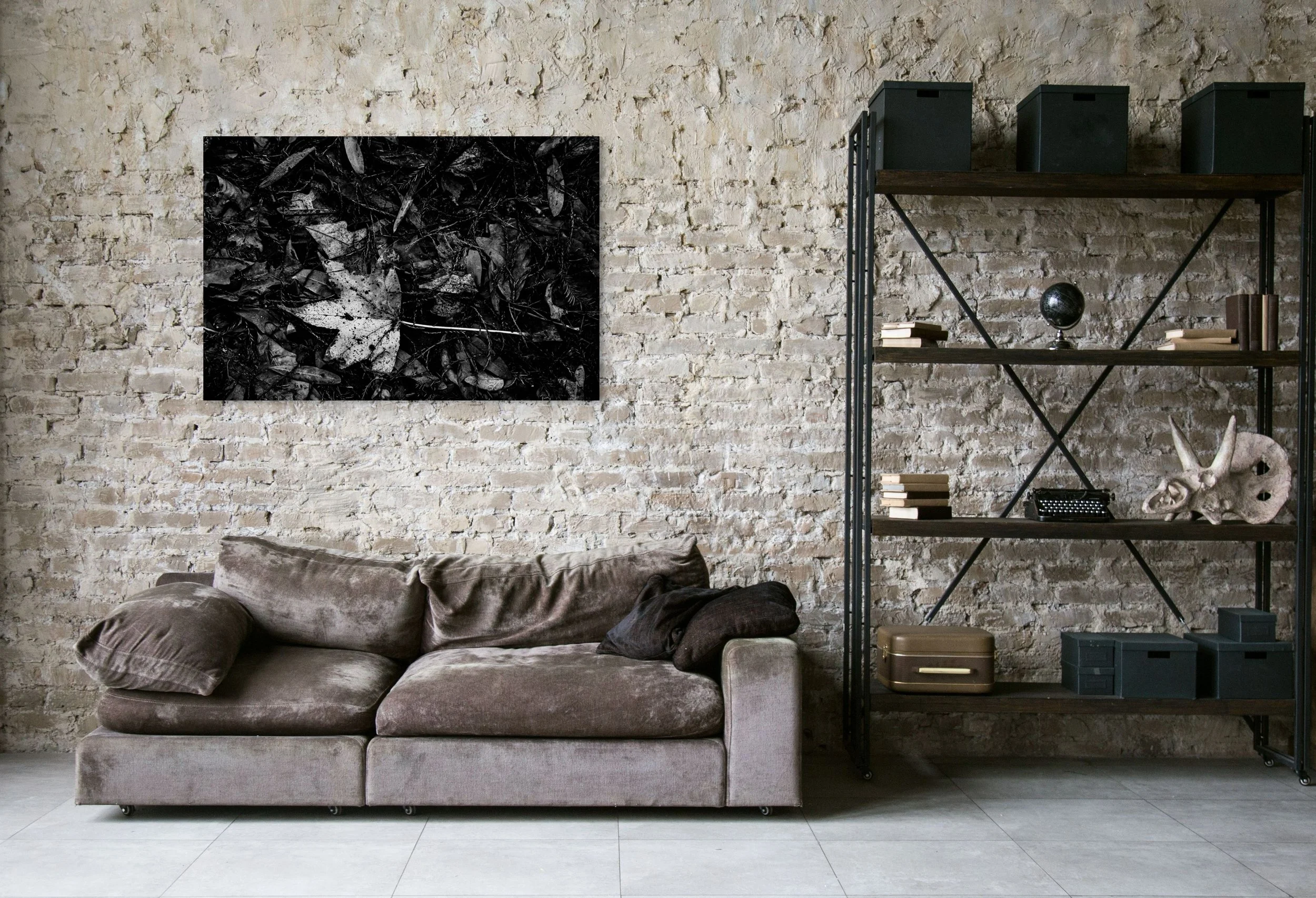 dwi_4571-full (1).jpg