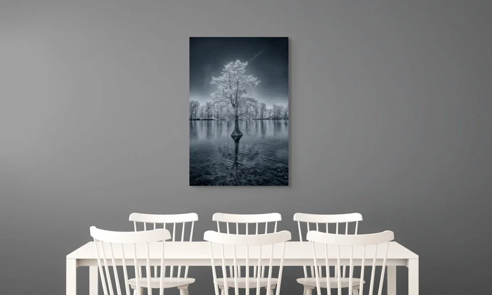 lone sentinel-full (1).jpg