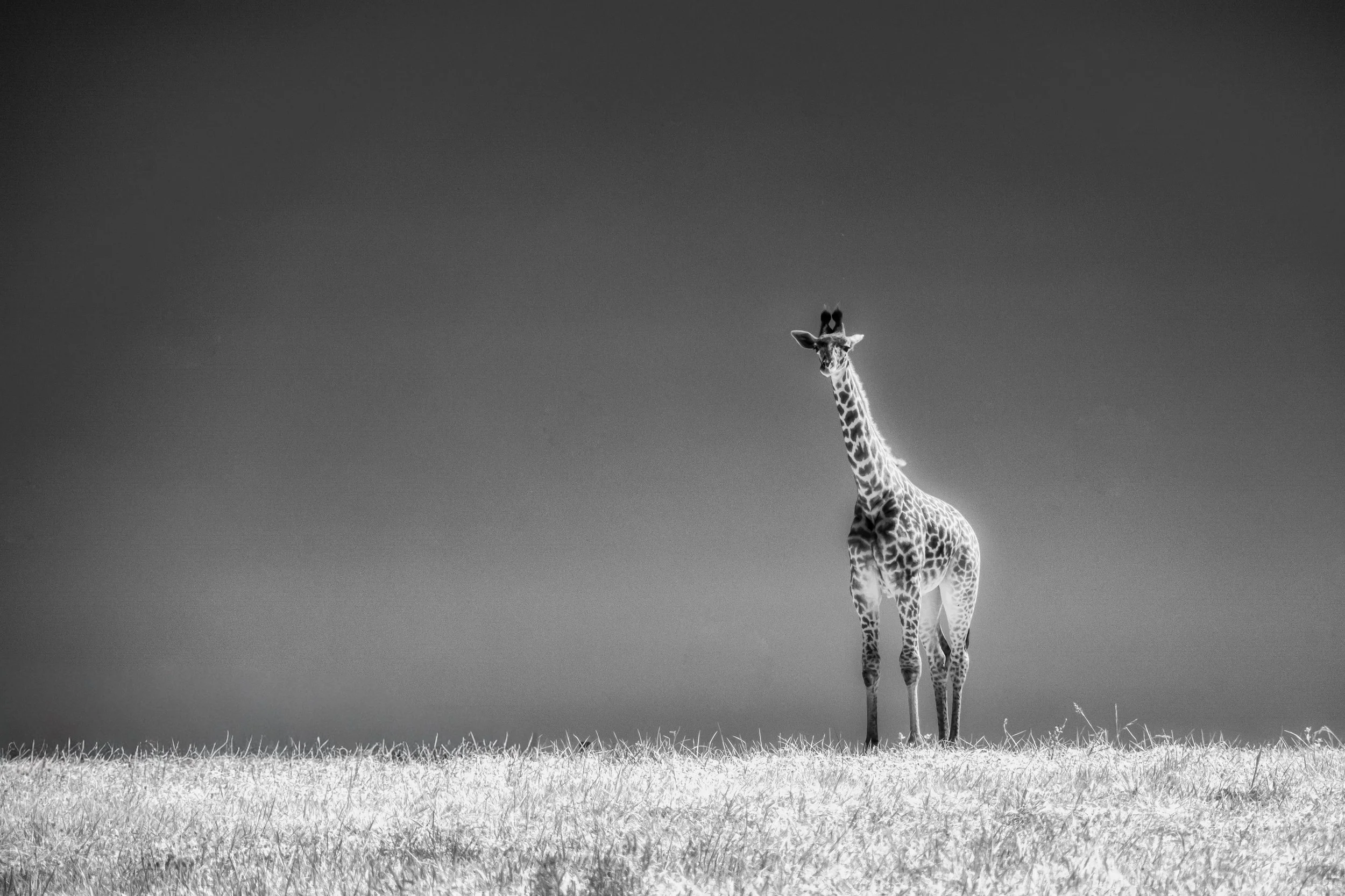 DWI_5657-Edit.jpg