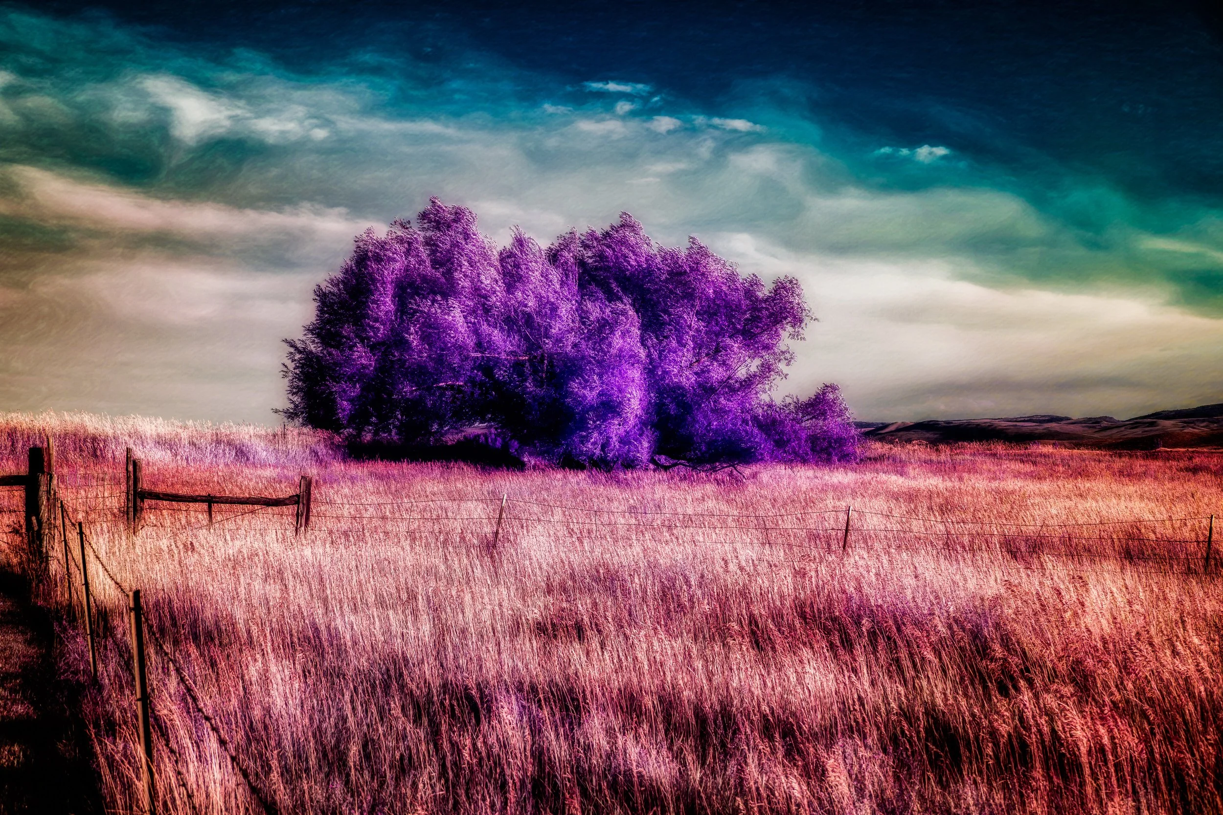 Amethyst Sanctuary