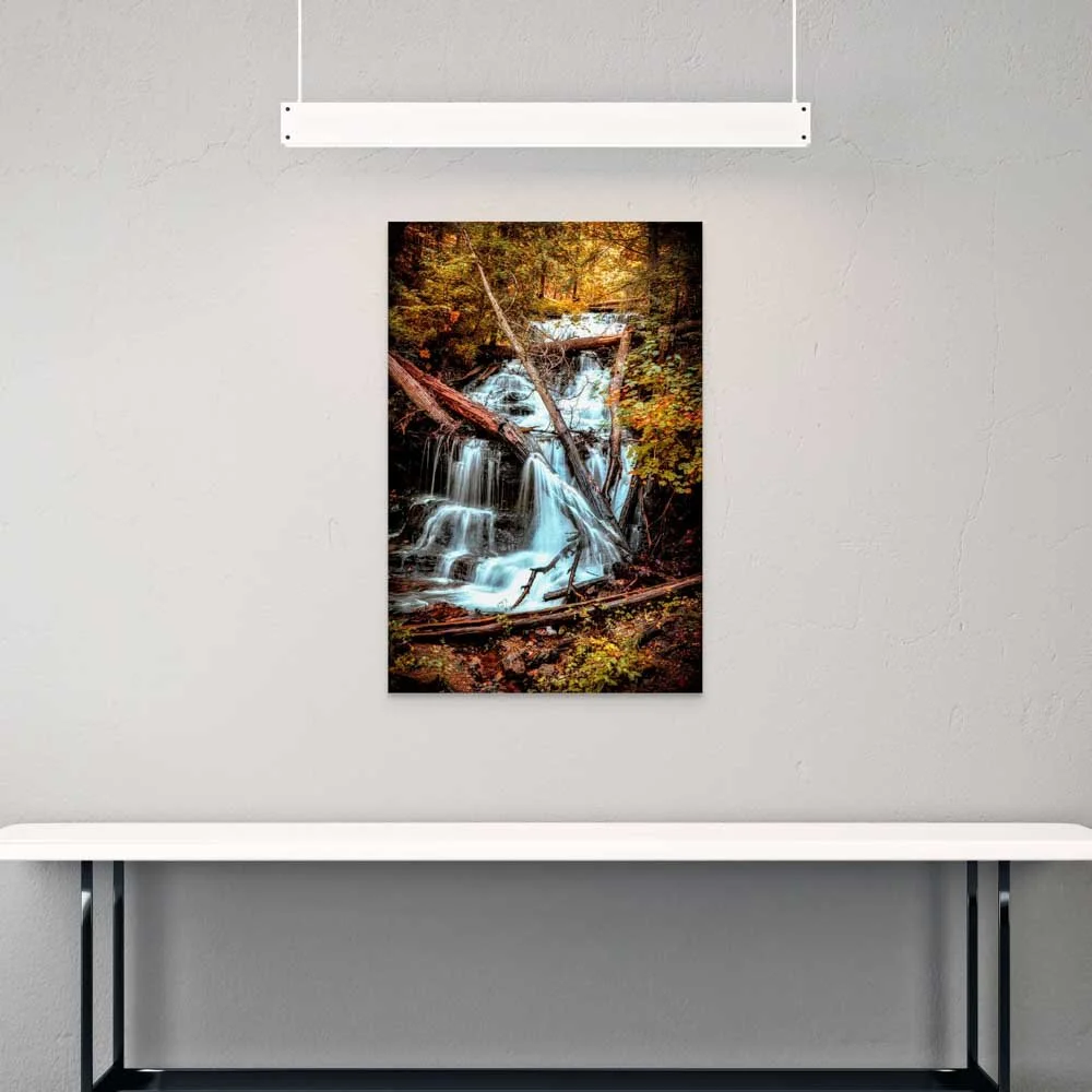 dwi_4086-edit-full (1).jpg