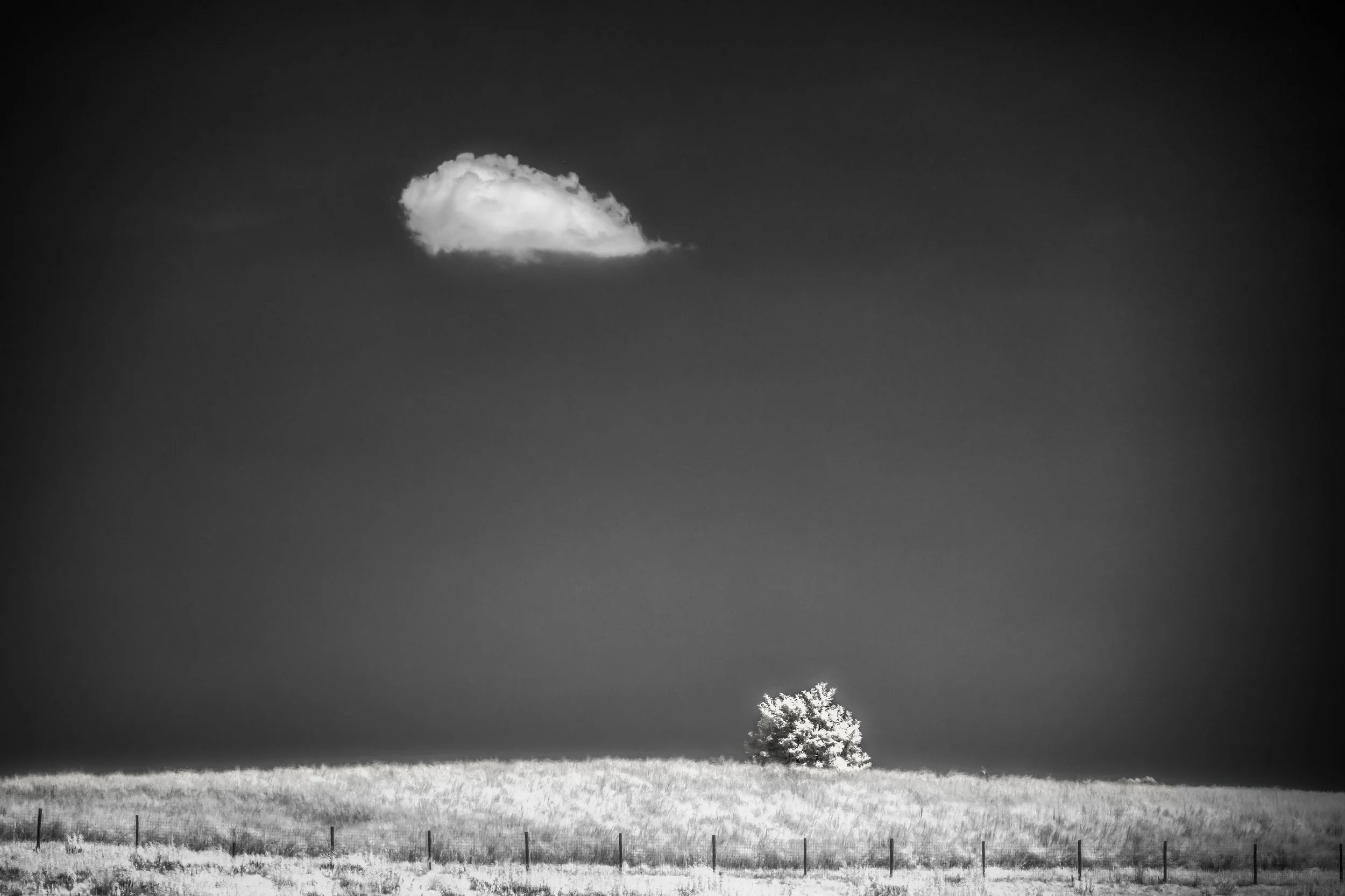 DWI_5680-Edit.jpg