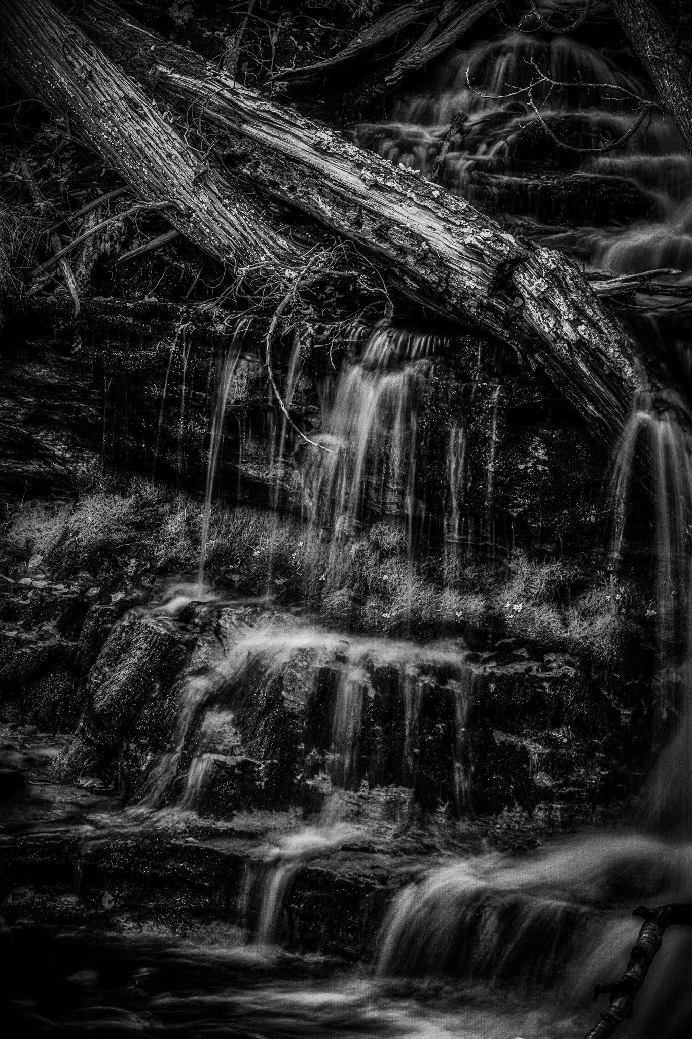 Nature’s Architecture