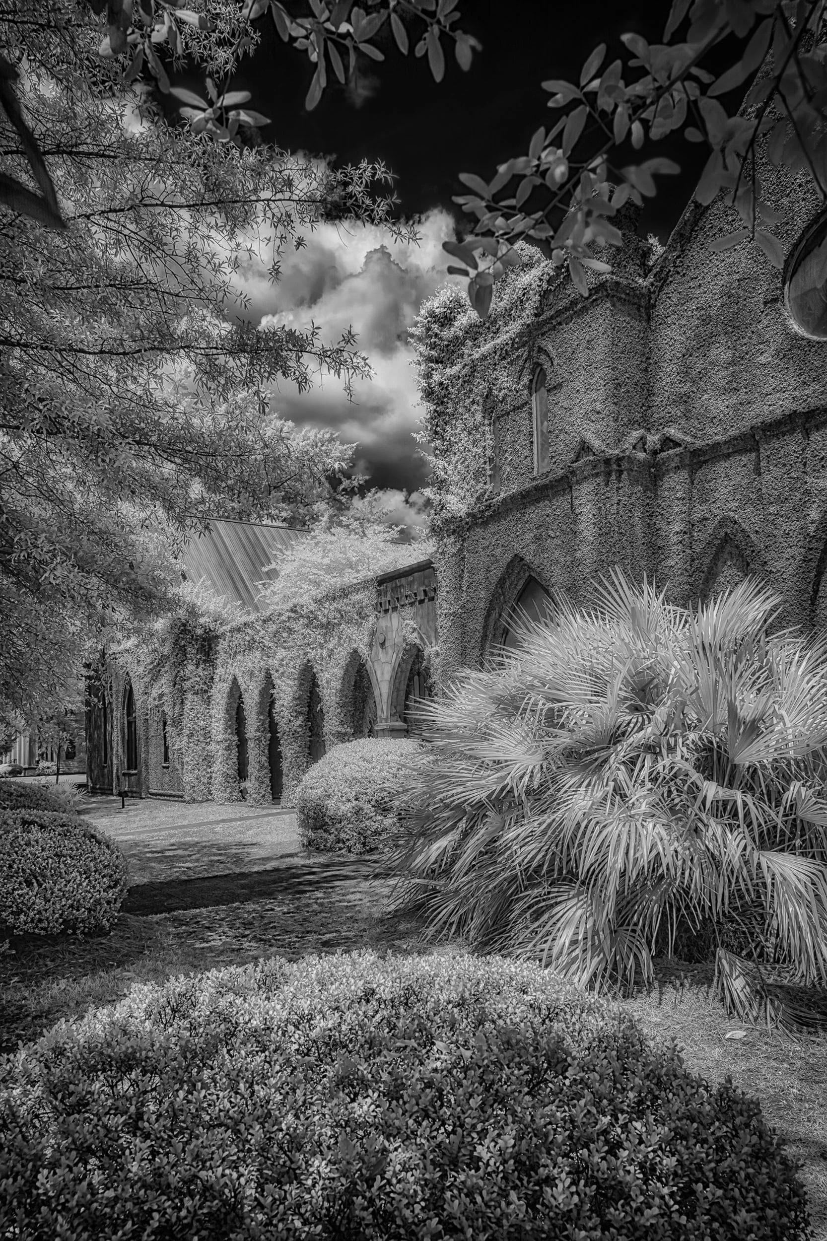 Peaceful Welcoming — Ivy-covered walls and framing trees surround St. James Episcopal Church in Eufaula, Alabama, captured in black and white infrared.