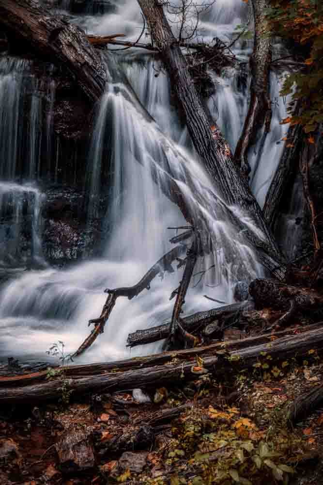 Liquid Light Through Nature's Framework