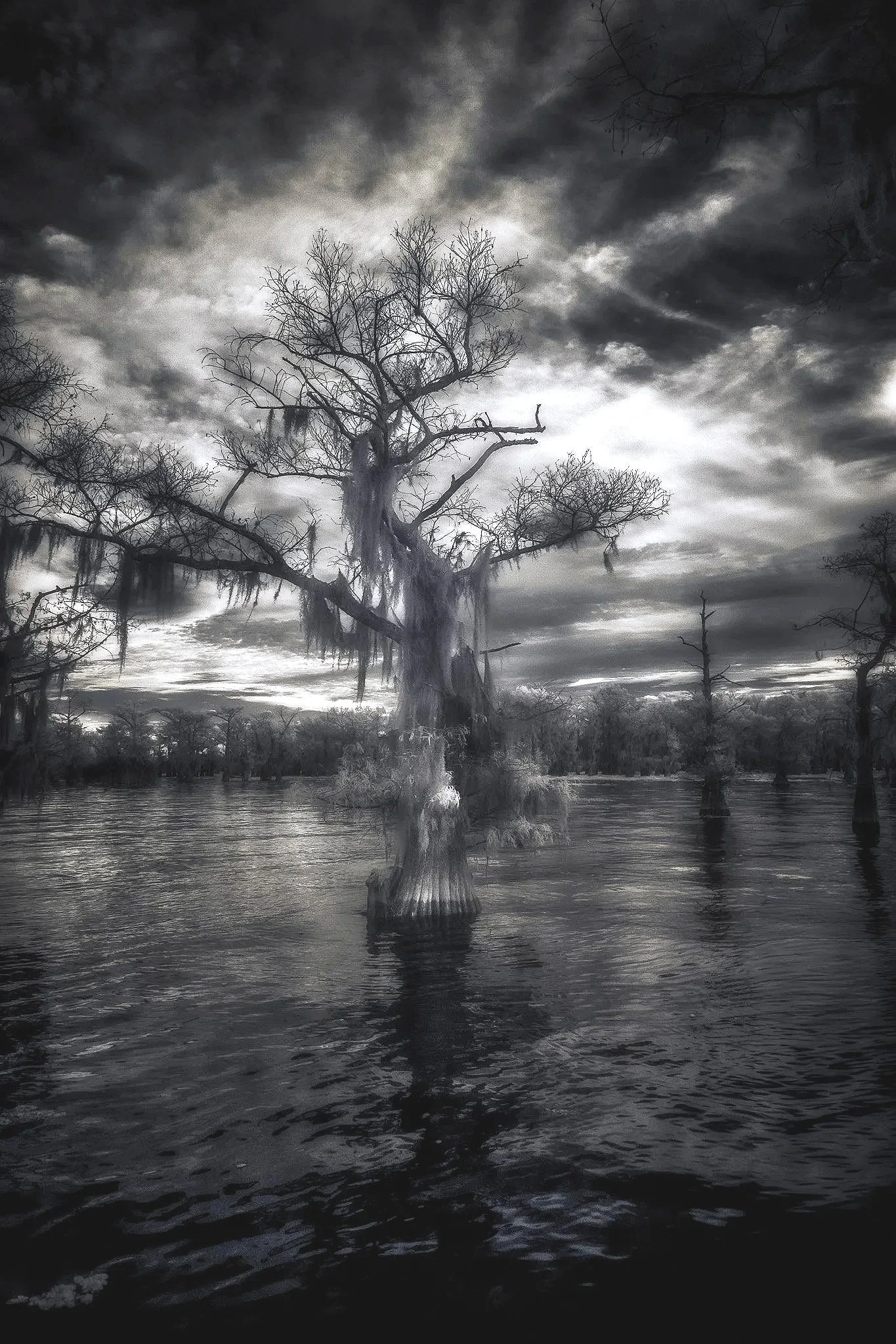 Black and white fine art photograph of a solitary cypress tree draped in Spanish moss standing in Caddo Lake beneath dramatic storm clouds.