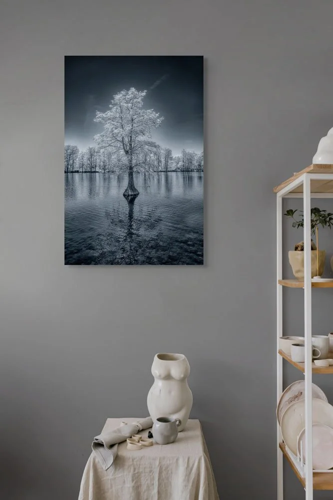 lone sentinel-custom.jpg