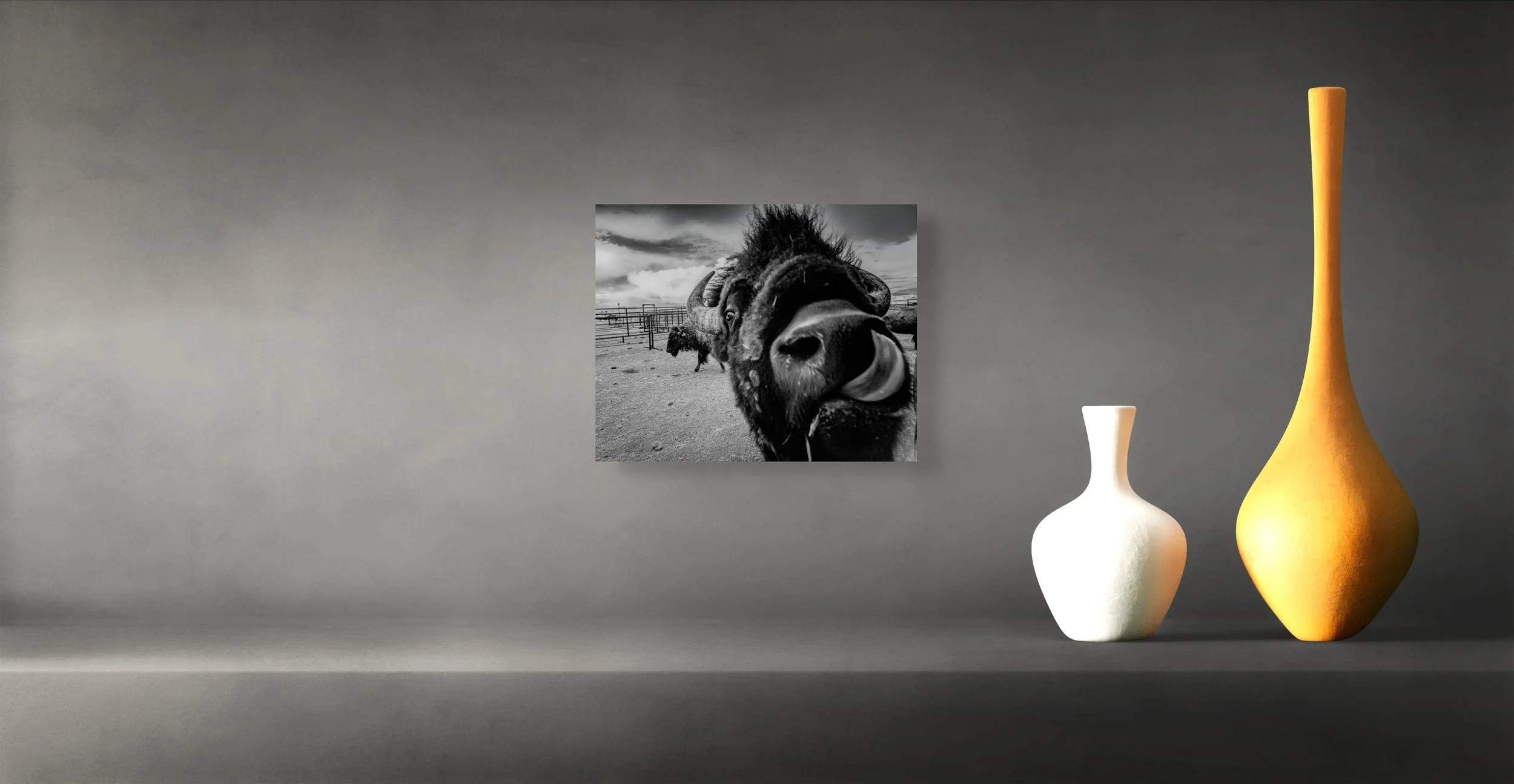 dwi-0562-hello- a bisons surprise greeting-full.jpg