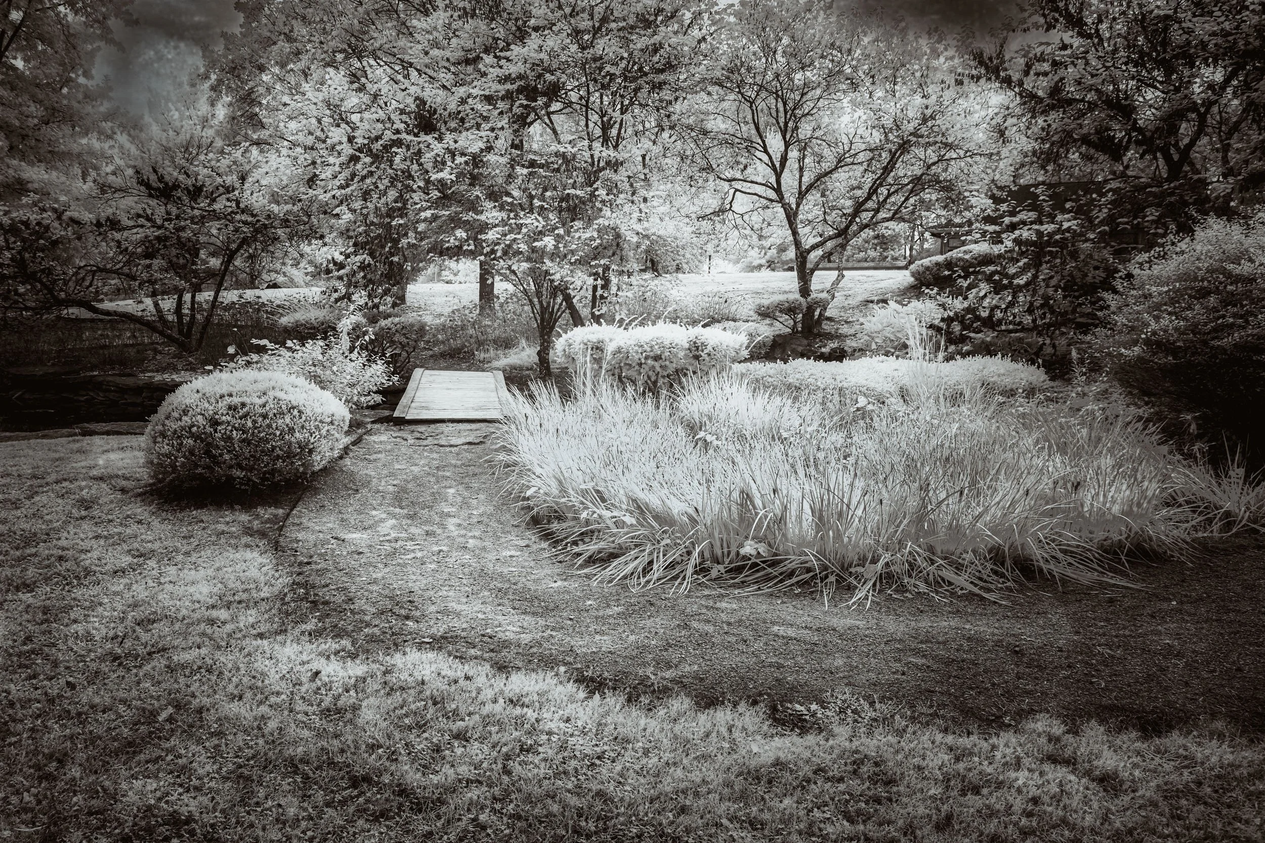 The Quiet Earth