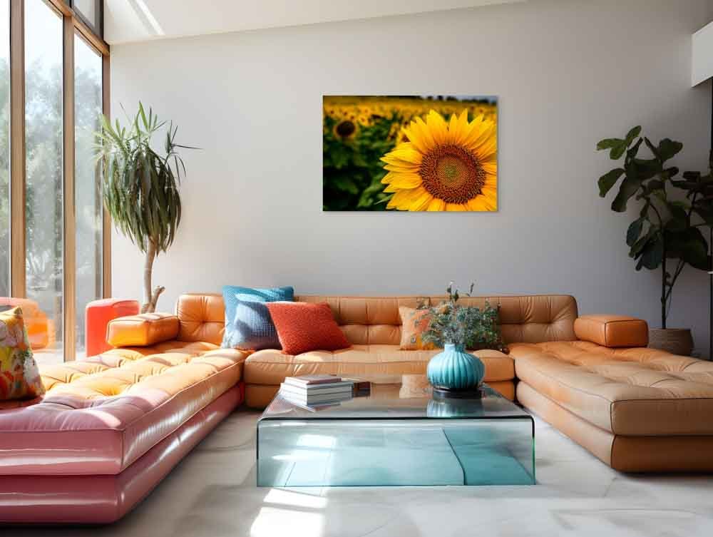 up6_5386-full (1).jpg