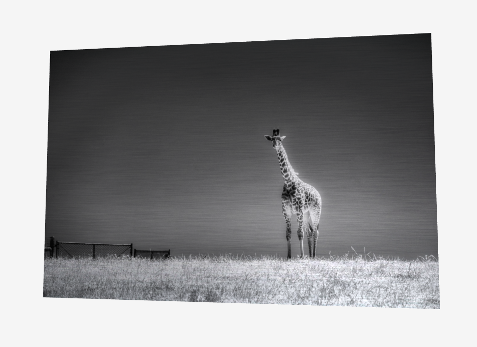 Brushed Metal Print