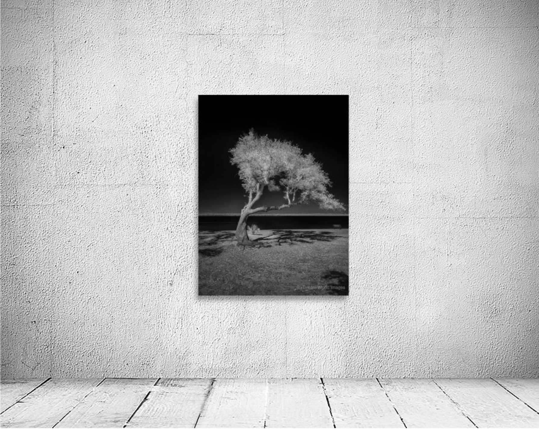 Screenshot 2026-01-16 at 8.45.10 AM.png