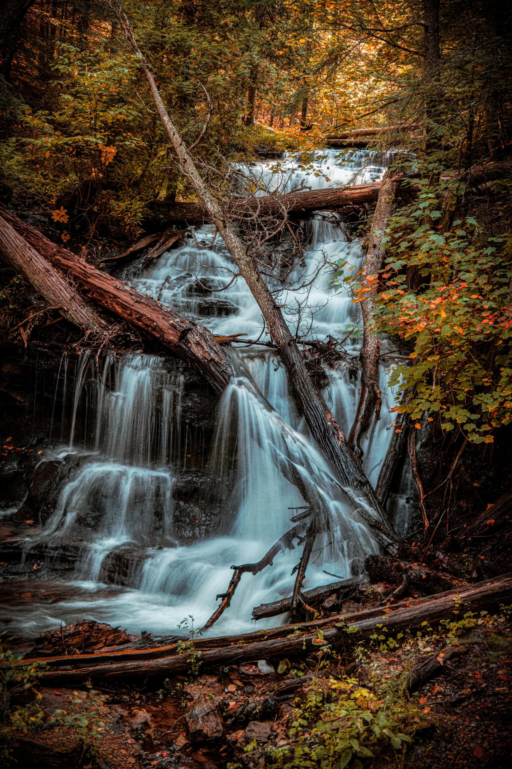 Autumn's Liquid Symphony — A multi-tiered waterfall cascades through peak autumn color, where flowing water meets a forest ablaze in gold.