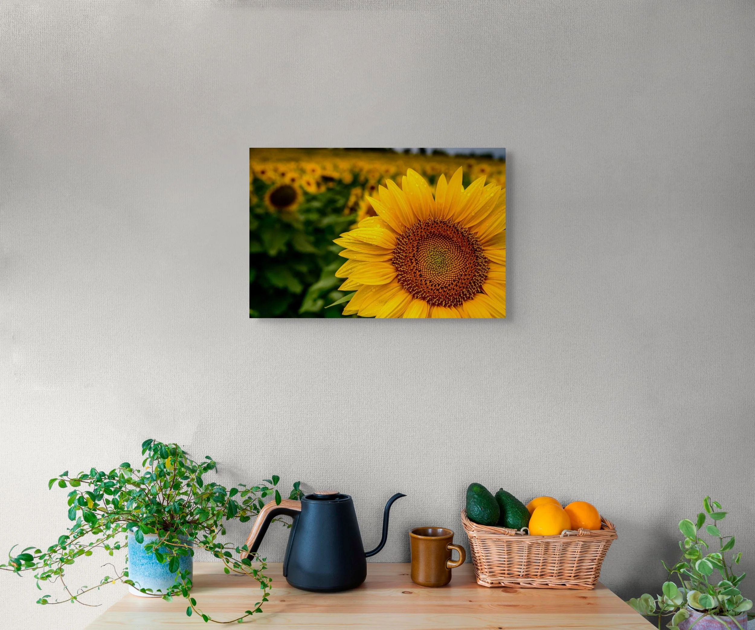 up6_5386-full (2).jpg