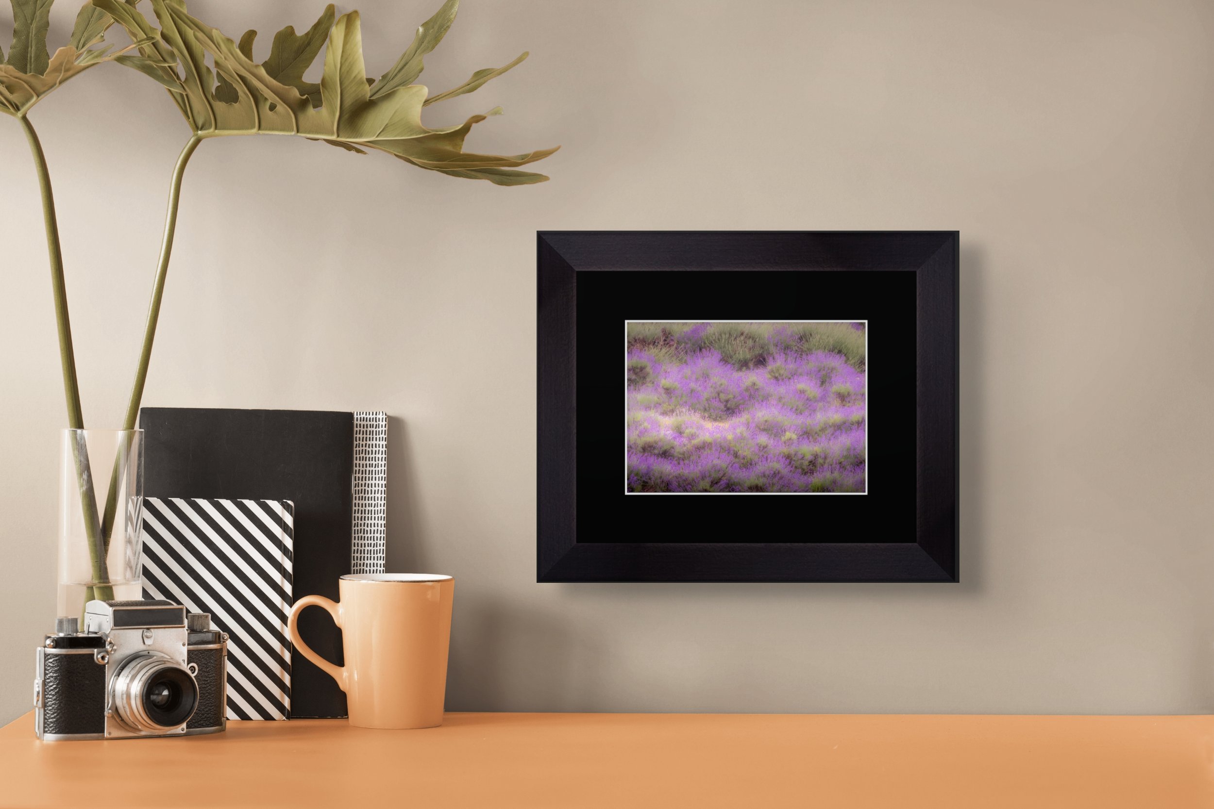 screenshot 2026-01-27 at 9.13.24am-full.jpg