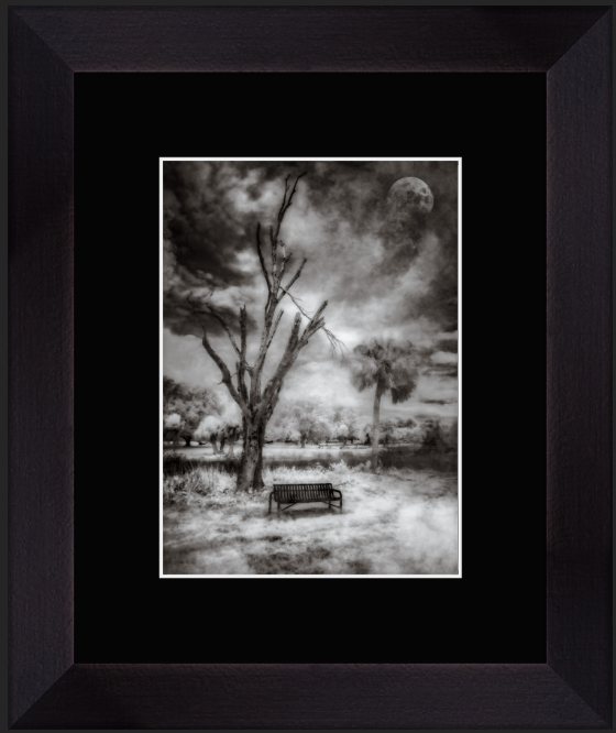 Screenshot 2026-01-27 at 9.15.48 AM.png