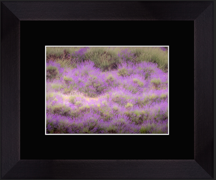 Screenshot 2026-01-27 at 9.13.24 AM.png