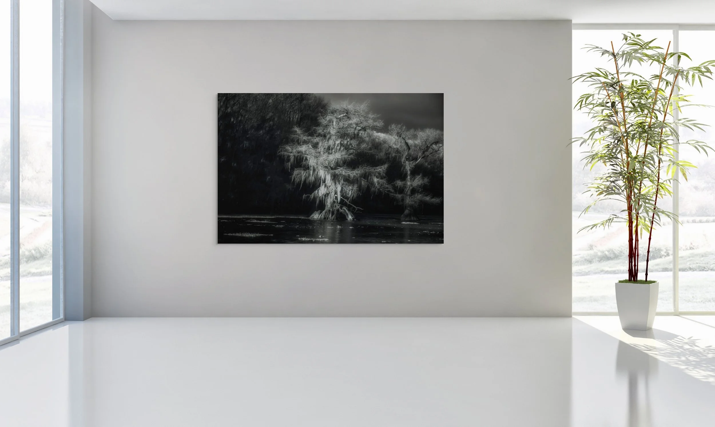 dwi_4812-full (2).jpg