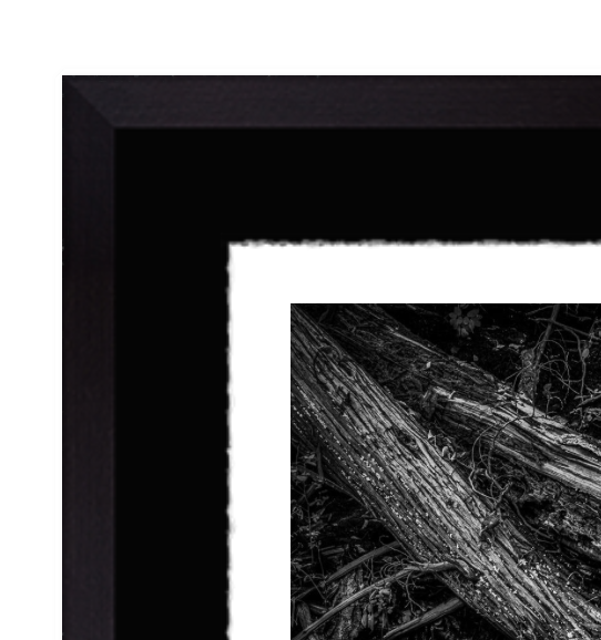 Screenshot 2025-10-26 at 1.02.51 PM.png