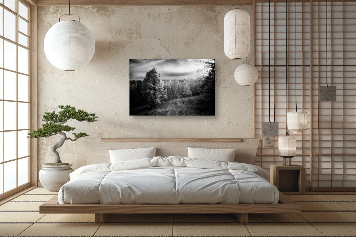 Aspen trees in Mueller State Park near Divide, Colorado, photographed as part of the Mueller Aspen Series.