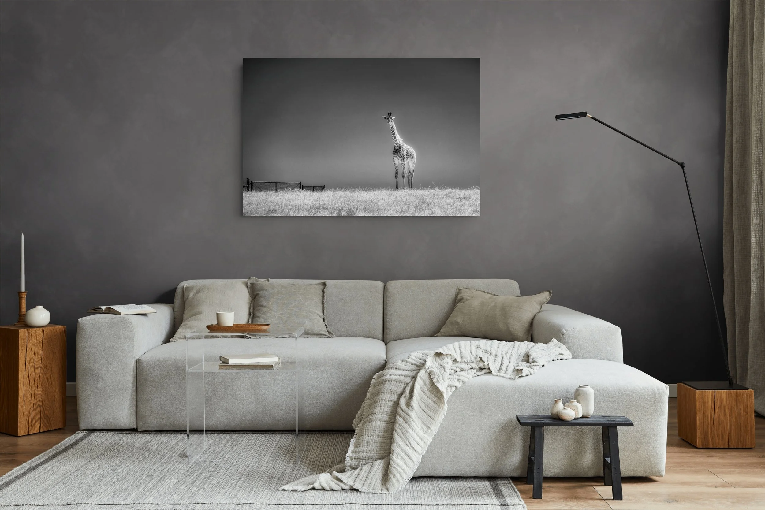dwi_5657-edit-full (2).jpg