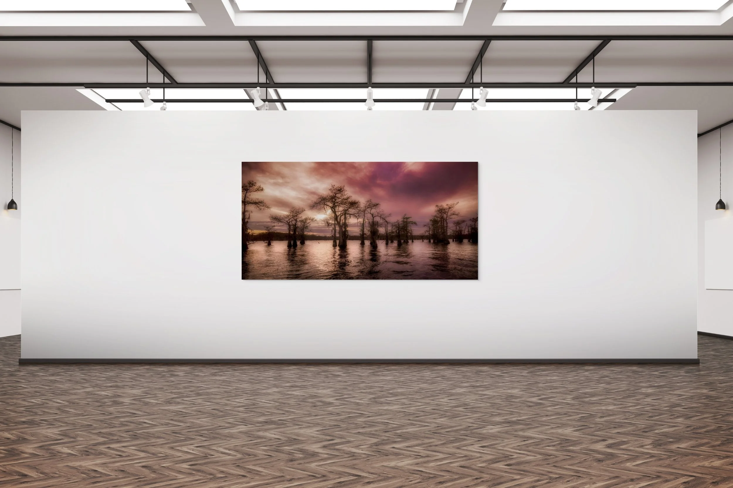 dwi_4898-full (1).jpg