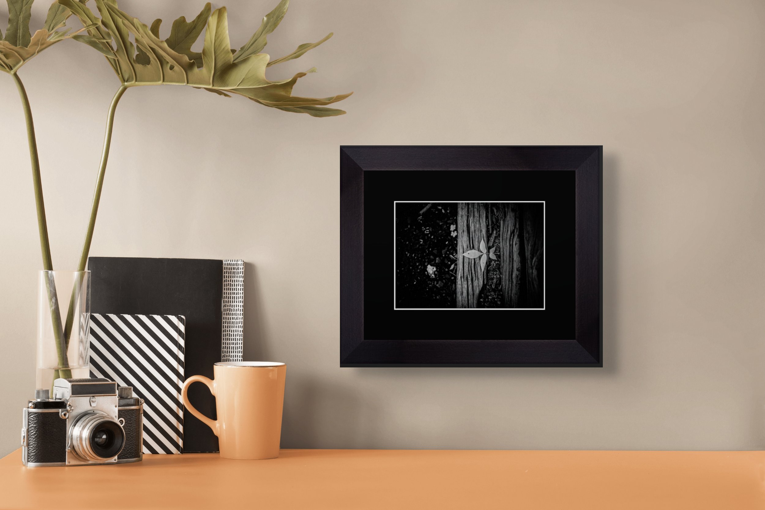 screenshot 2026-01-27 at 9.14.31am-full.jpg