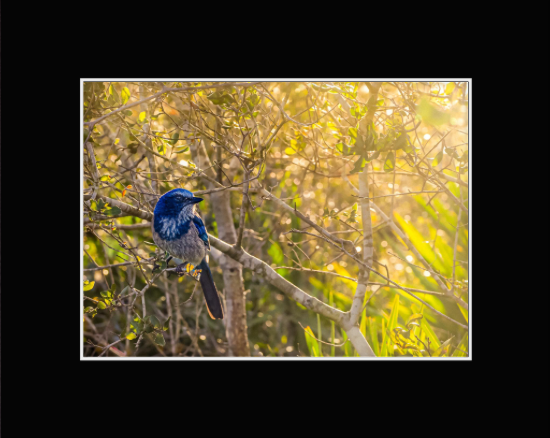 Screenshot 2026-02-17 at 11.28.13 AM.png