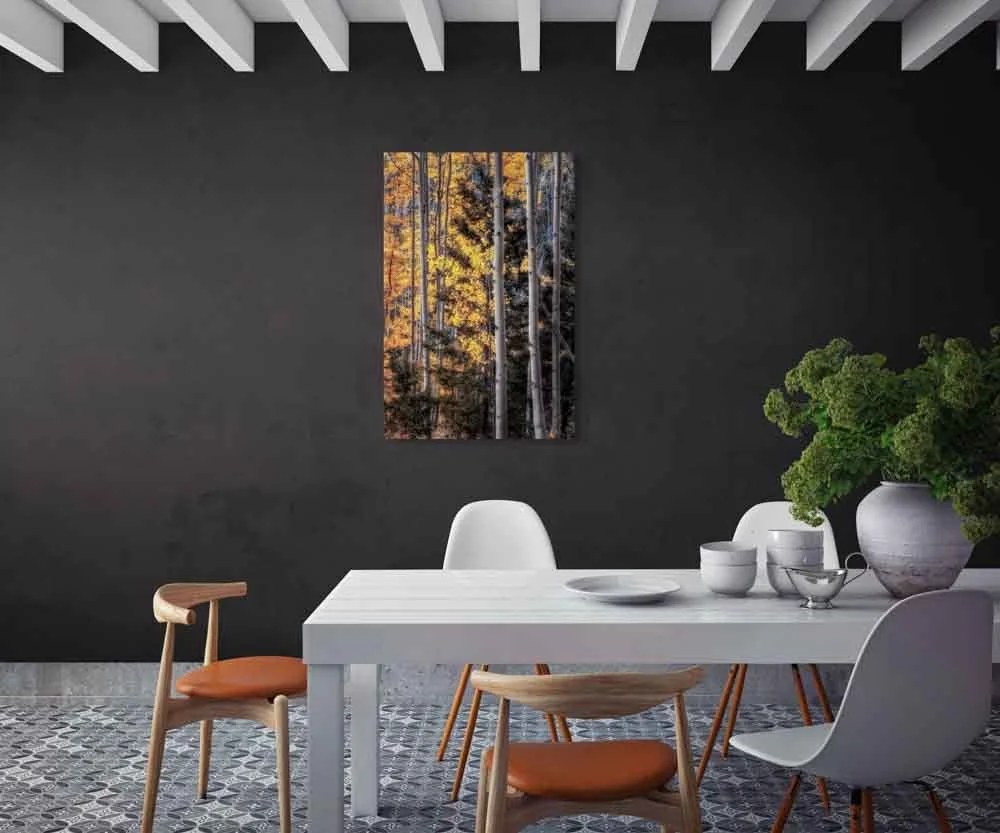 warmth amidst the shadows-full.jpg