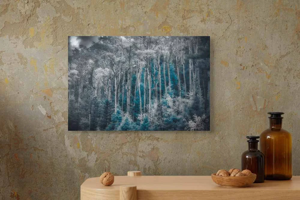 ethereal blue amidst monochrome forest-full (1).jpg