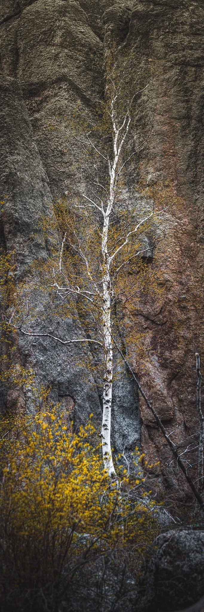 DWI-2795-0523-Pano-2.jpg