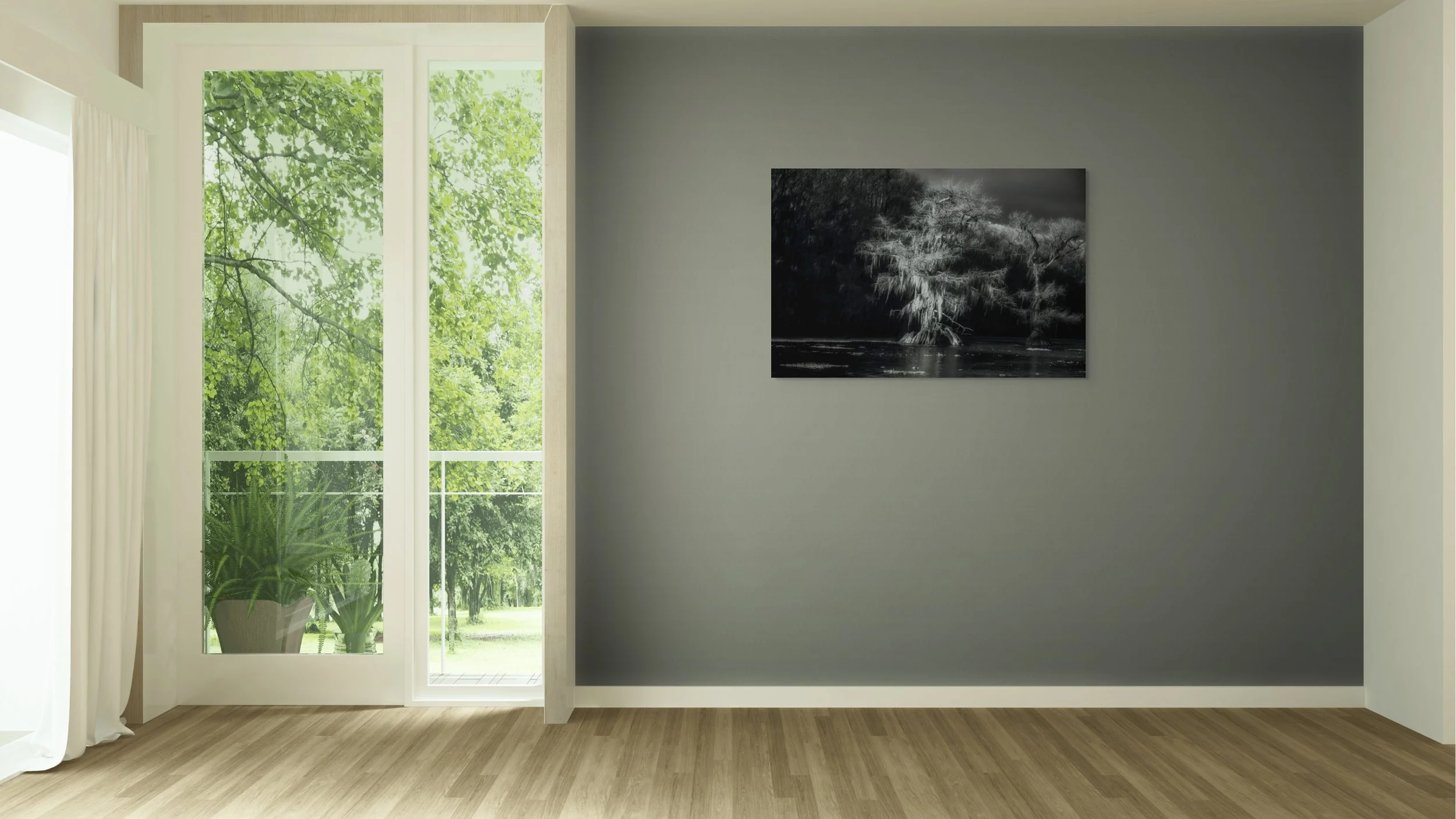 dwi_4812-full (1).jpg