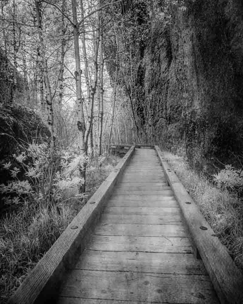 DWI-2123-0523-Mystical Journey- Sylvan Lake Wooden Trail in Infrared-2.jpg