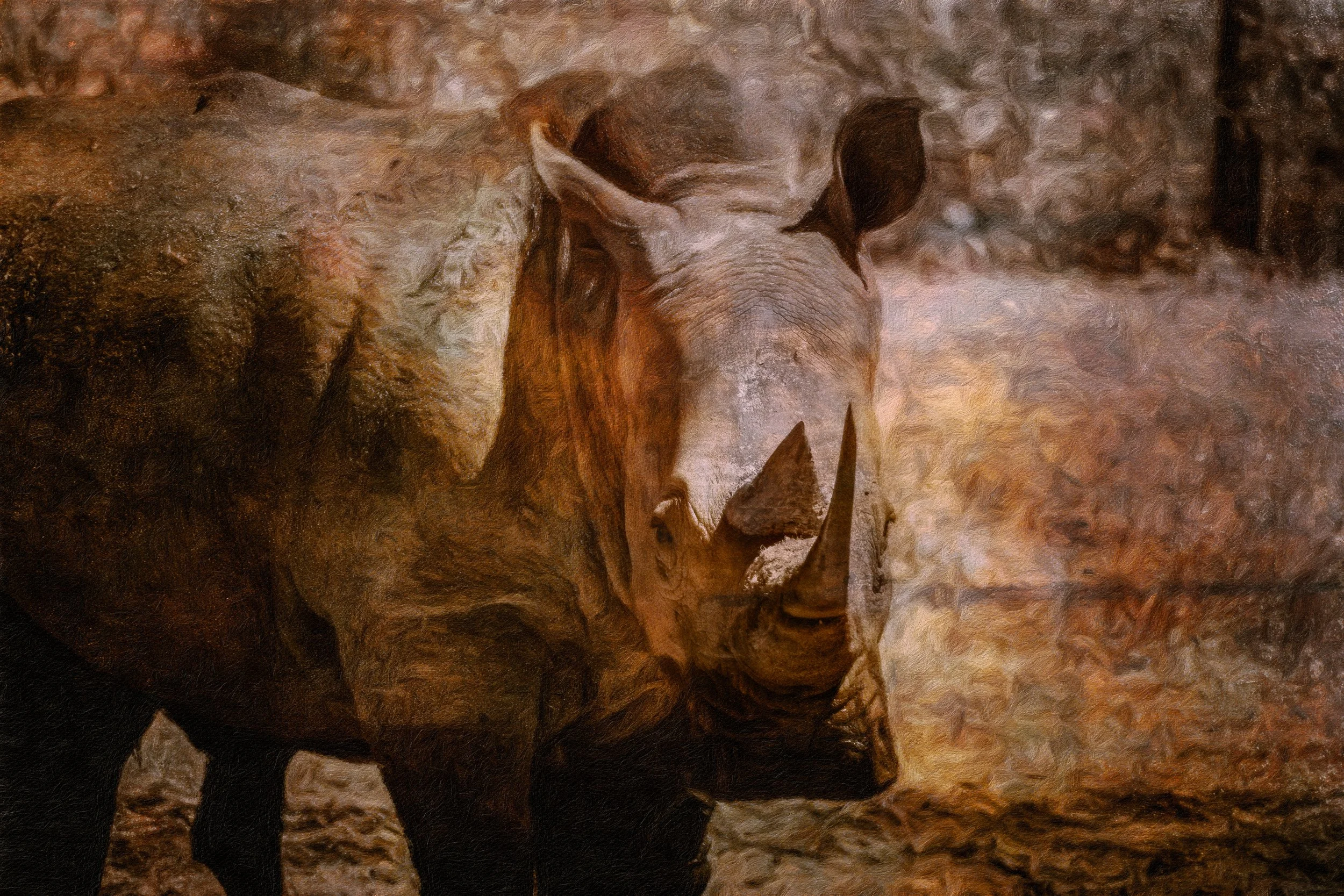 White rhino in warm amber light at The Wilds in Ohio, with its horn catching the sunlight and a painterly texture across the portrait.