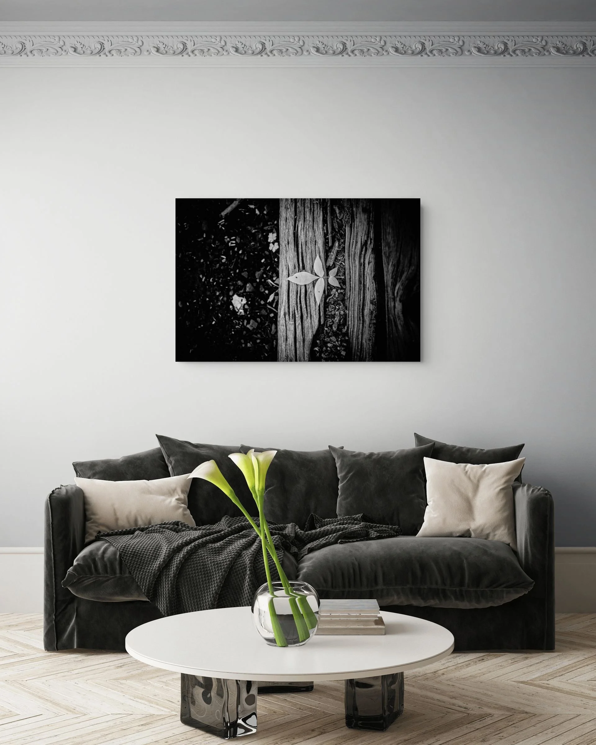 dwi-9422-medium.jpg