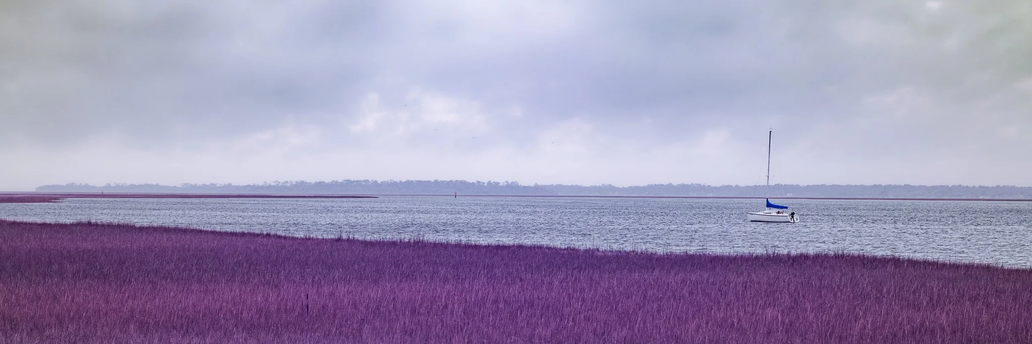 A boat with a blue sail floating on a calm body of water, with purple grass in the foreground and a distant landmass under a cloudy sky.