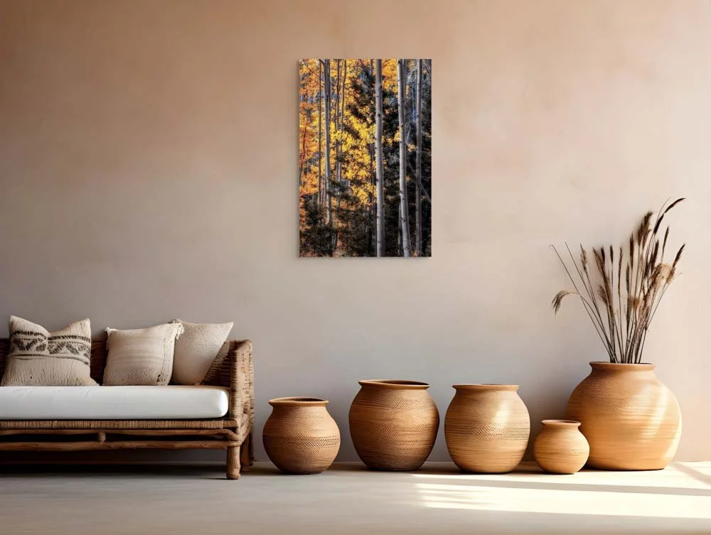 Warmth Amidst the Shadows