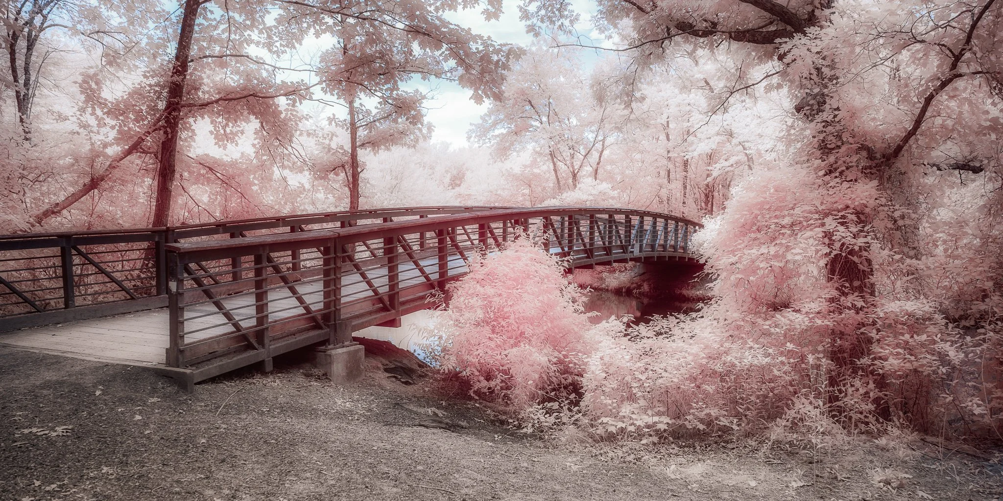 Passage to a Pink Dimension