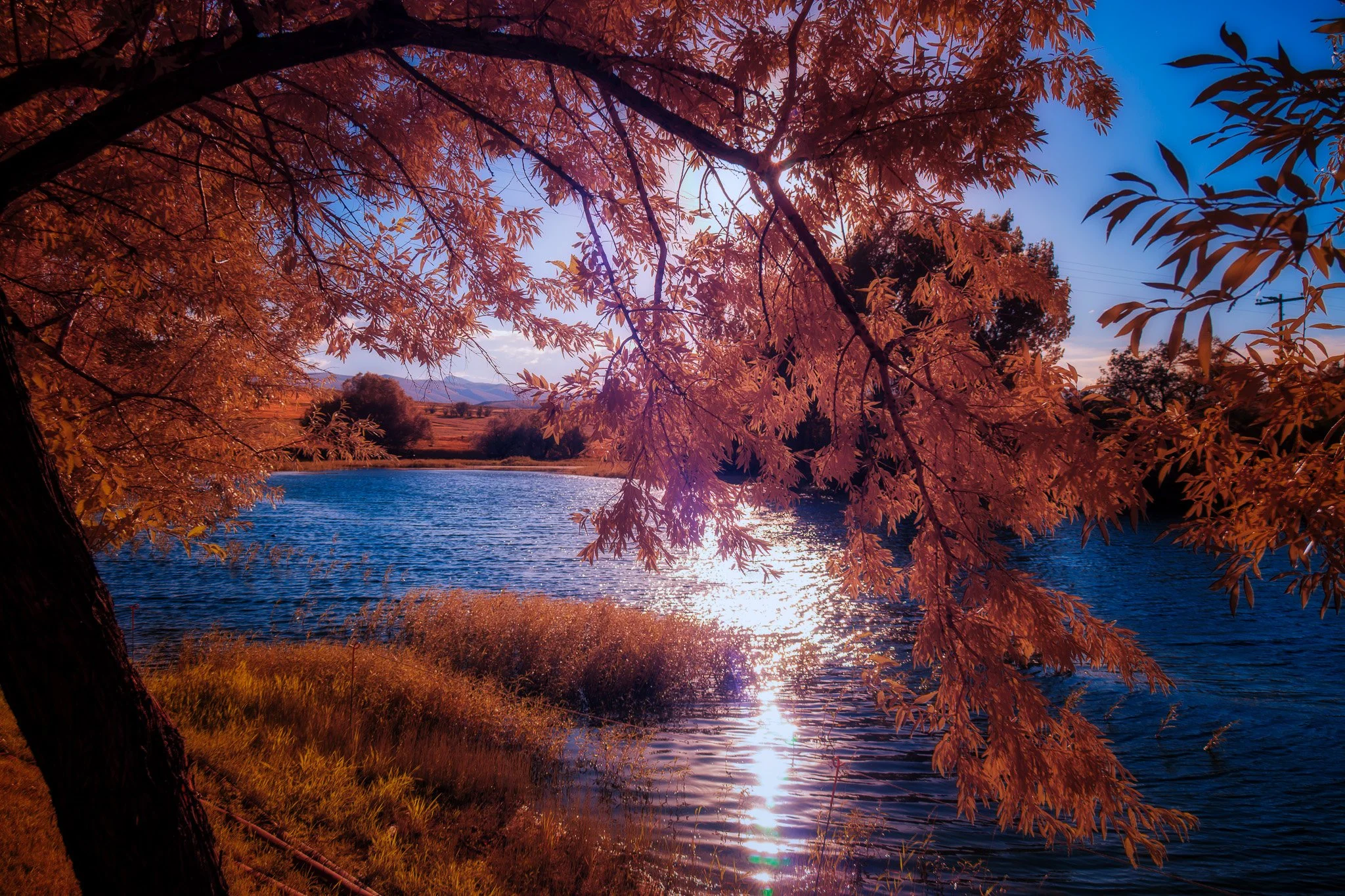 Copper Dreams at Lander Lake