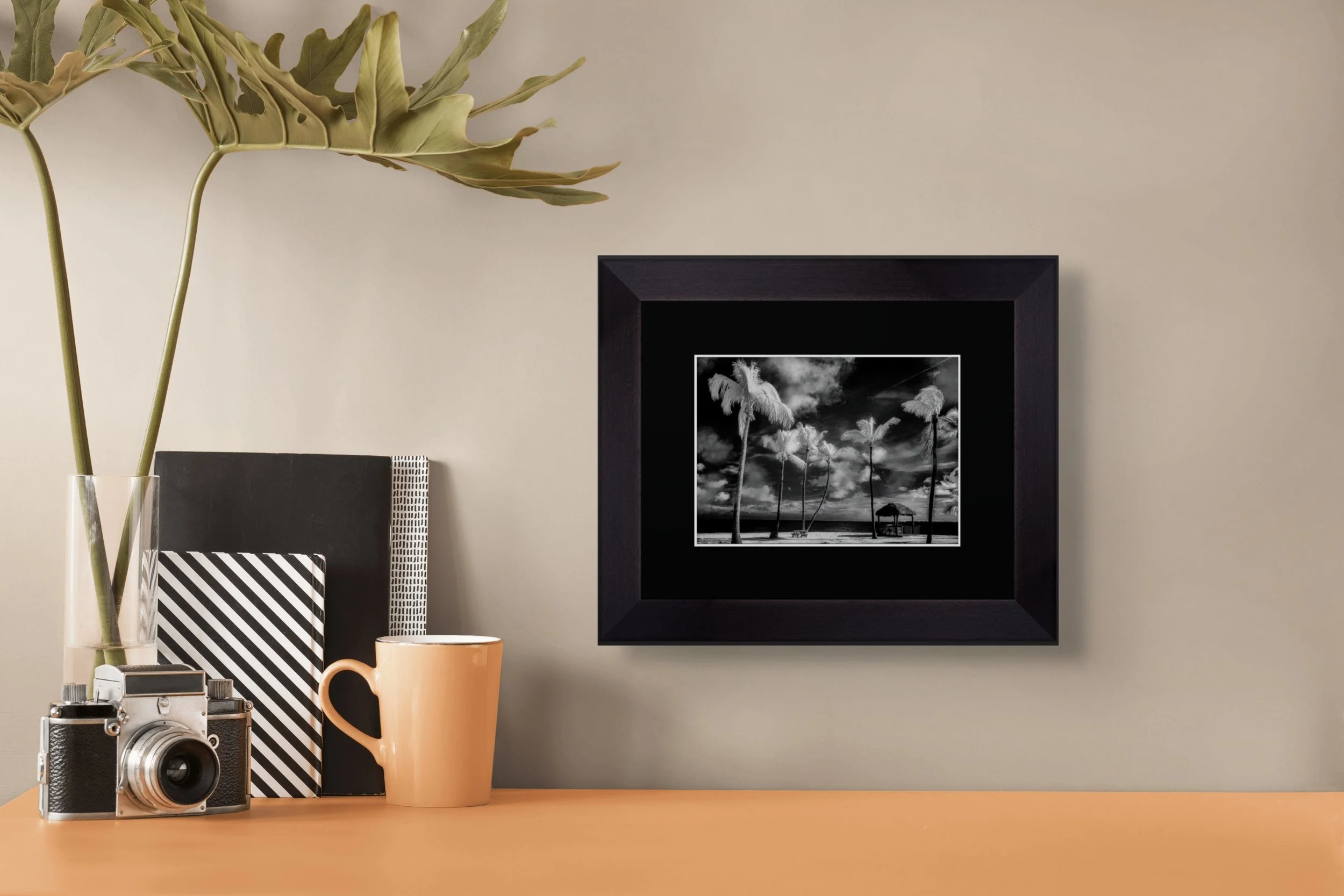 screenshot 2026-01-27 at 9.15.10am-full.jpg