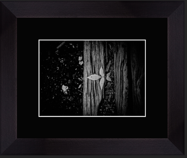 Screenshot 2026-01-27 at 9.14.31 AM.png