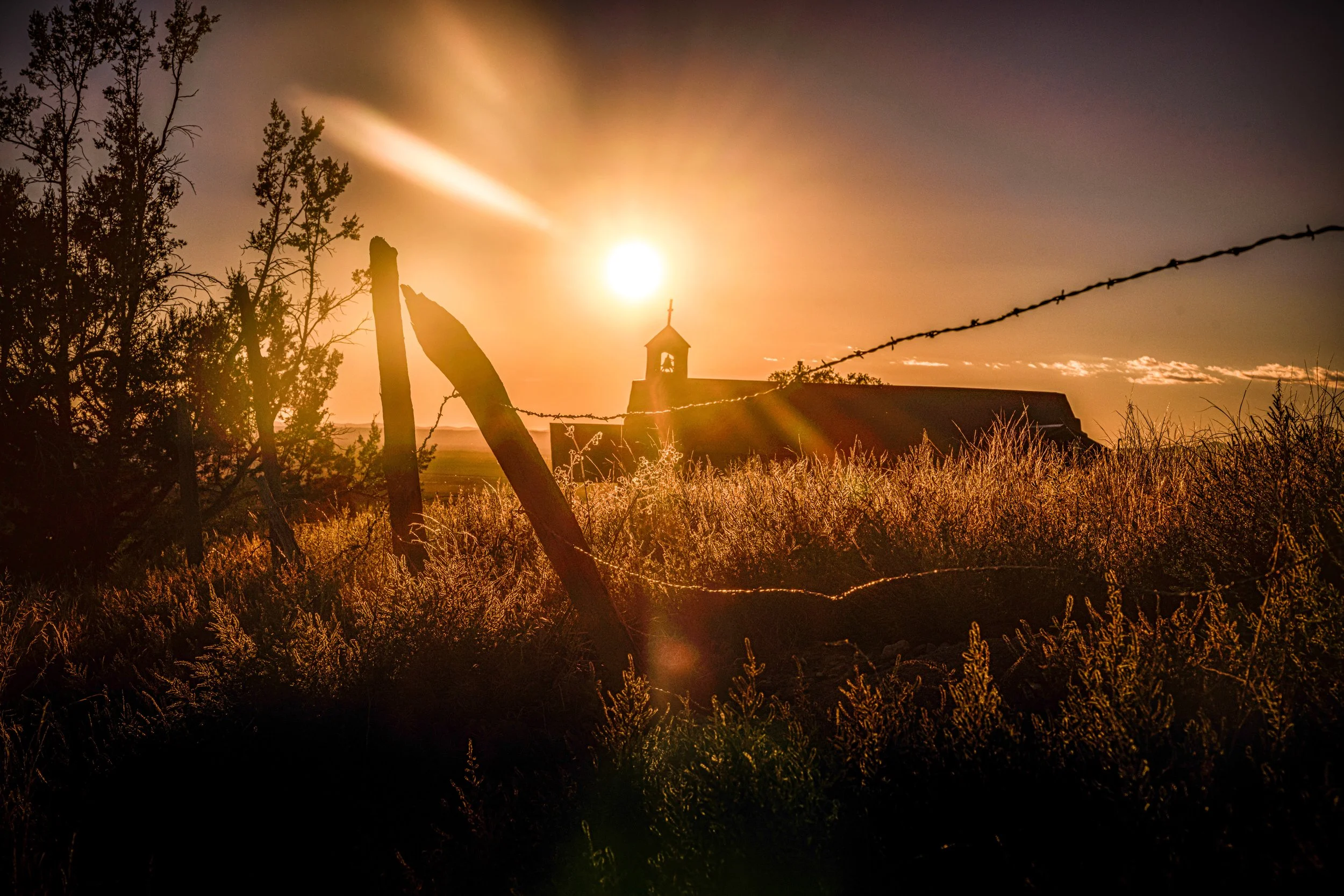 Sun-Kissed Harmony Along Rustic Lines